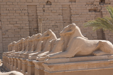Luxor Egypt shoots