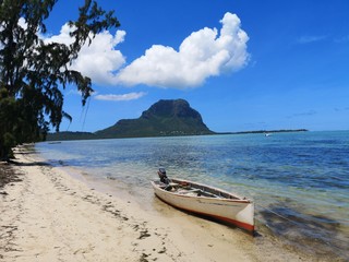 Fototapeta na wymiar Mauritius, Île aux Bénitiers