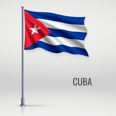 Waving flag on flagpole