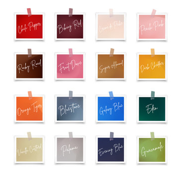 vector photo frames with trendy color palette
