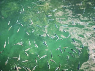 Mauritius Landschaft