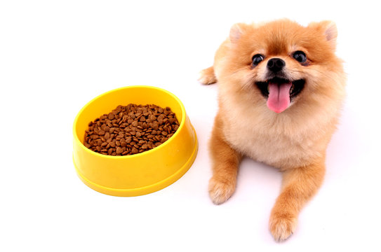 Brown Rice for Dogs: Benefits, Risks, and Feeding Guidelines Is Brown Rice Safe for Your Dog? Find Out Here