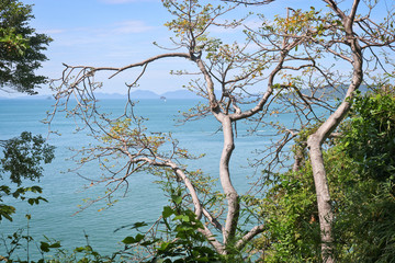 Beautiful tropical coast of Thailand, View from the mountains to the azure sea through the foliage...