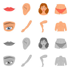 Vector design of body and part symbol. Collection of body and anatomy stock vector illustration.