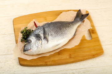 raw dorada fish