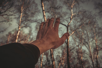 Fototapete bei efototapeten.de bestellen   