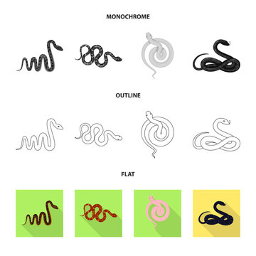 Vector illustration of mammal and danger sign. Collection of mammal and medicine vector icon for stock.