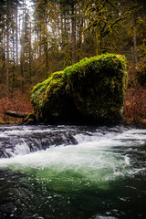 Moss Rock with Water fall