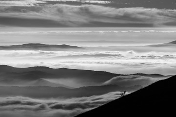 Beautiful view of Umbria valley (Italy) covered by a sea of fog, with trees silhouettes in the foreground