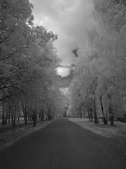 Obraz premium Infra red photography IR photo