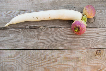 One long white daikon radish and two chinese watermelon radish on rustic wooden table