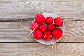 Red radish in a plate on rustic wooden table