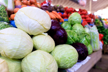 White cabbage heads against the background of various other varieties in blur.