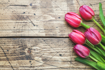right pink purple tulips on wooden background with copy space.
