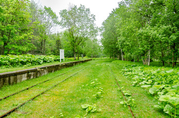 廃線駅　北海道 幌加駅