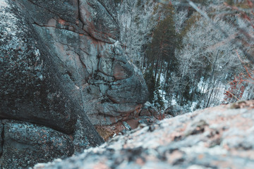 Forest, mountain.