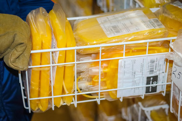 Transfusion laboratory.