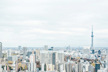 Fototapeta premium panoramic city skyline view in Tokyo, Japan