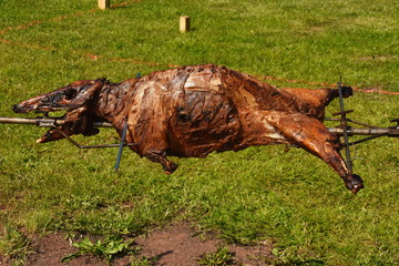 Roasting wild boar,  Wild Boar grilling on the spit