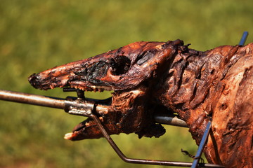 Roasting wild boar,  Wild Boar grilling on the spit