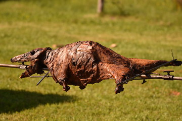 Roasting wild boar,  Wild Boar grilling on the spit