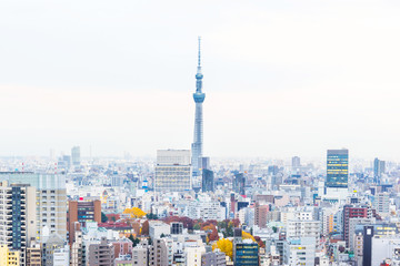 Fototapeta na wymiar panoramic city skyline view in Tokyo, Japan
