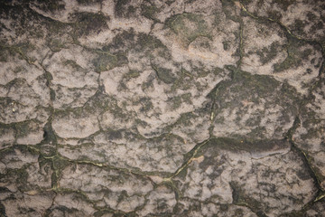 Seamless natural stone texture for background. Seamless rock texture from the waterfall for background closeup.