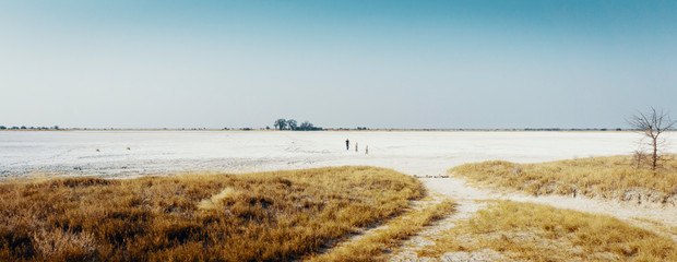 Mann wandert mit Kindern über die Salzpfanne, Baines Baobabs, Nxai Pans National Park, Botswana