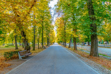 Cluj-Napoca Central Park on a beautiful autumn sunny day in Romania