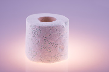 White roll toilet paper,wc