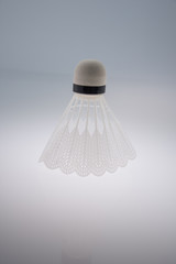 Shuttlecock for badminton