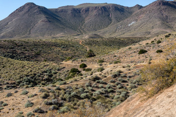 Obraz premium Landscape in Natural Park of Cabo de Gata - Nijar, Andalucia, Spain