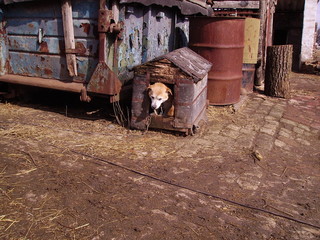 DIGITAL CAMERA