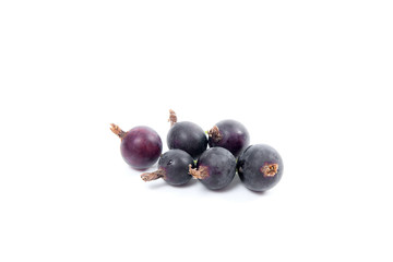 Black currant berry isolated on white. A bunch of black currant..