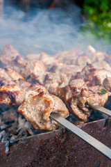 Traditional eastern dish, shish kebab. Roasted meat cooked at barbecue with smoke. .