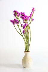 The Flower in vase Close up white background	