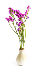 The Flower in vase Close up white background	