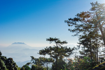 View point of Tree, fog and mountain scen eat Huai Nam Dang National Park,Chingmai, Thailand