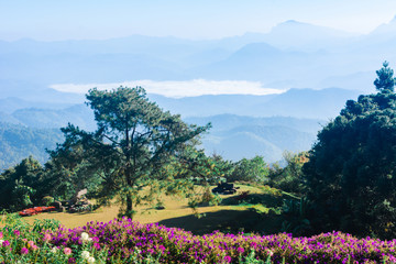 Naklejka na ściany i meble View point of Tree, fog and mountain scen eat Huai Nam Dang National Park,Chingmai, Thailand