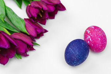 Easter eggs with tulips flowers on white background