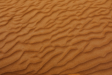 Fototapeta na wymiar desert texture background - Image