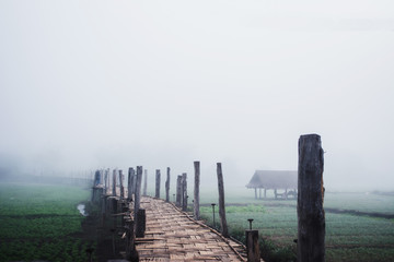 bamboo bridge over vegetable field among fog at countryside of Thailand