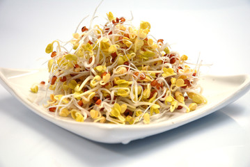 Graines à germer, pousses, sur fond blanc