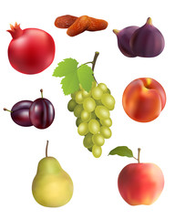 fruit set