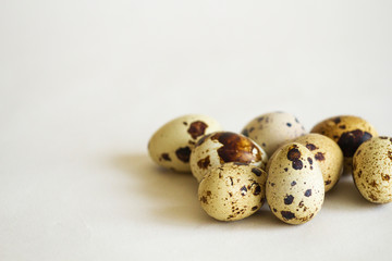  Chicken and Quail Eggs