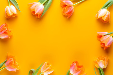 Yellow pastels color tulips on the yellow background. Retro vintage style.