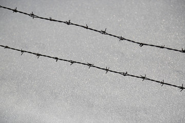 Barbed wire in front of glittering snow