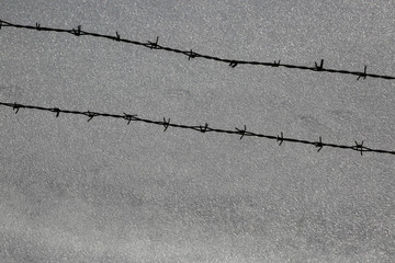 Barbed wire in front of glittering snow