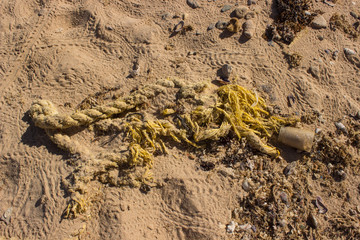 yellow rope in the sand