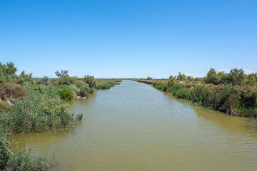 Fototapeta premium Camargue in France